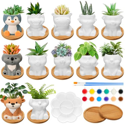 Hushee 12 Sets Ceramic Succulent Planters Paintable Succulent Plant Pots Small DIY Figurines Unpainted Pots with Drainage Hole Color Paints Paintbrushes Palettes - color: Animal