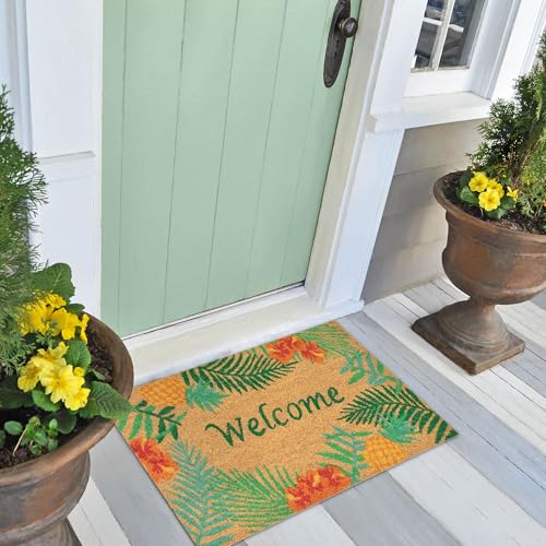 Liora Manne Natura Doormat Non-Slip Natural Fiber Outdoor Mat-Decorative, Tropical Welcome Natural 1'6" x 2'6"