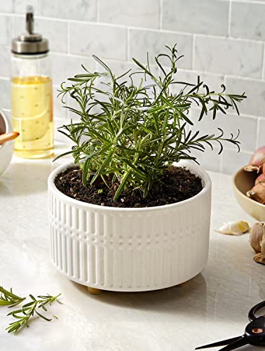 LE TAUCI Succulent Pots, 6.5+8 Inch Ceramic Indoor Plant Pot with Drainage Hole, Shallow Round Succulent Planters, Set of 2, Matte White - color: White