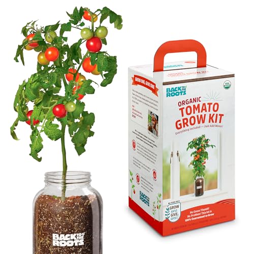 Back to the Roots Cherry Tomato Organic Windowsill Planter Kit - Grows Year Round, Includes Everything Needed For Planting - style: Tomato