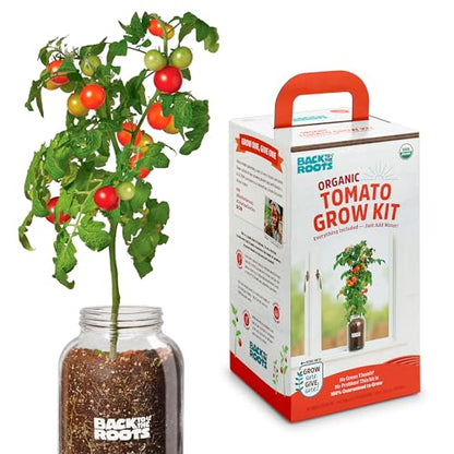 Back to the Roots Cherry Tomato Organic Windowsill Planter Kit - Grows Year Round, Includes Everything Needed For Planting - style: Tomato