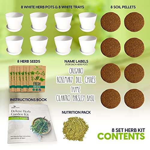 Herb Garden Starter Kit - 8 USA Culinary Herbs | Includes 8 culinary herbs, pots and soil for windowsill, kitchen or patio growing - color: 8 Herb
