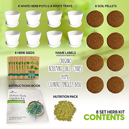 Herb Garden Starter Kit - 8 USA Culinary Herbs | Includes 8 culinary herbs, pots and soil for windowsill, kitchen or patio growing - color: 8 Herb