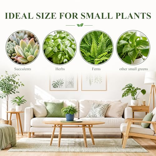 Ceramic Plant Pots, Modern Flower Pots, Small Plant Pots 4.5+5.5inch | Flower Pots Indoor Planters with Drainage and Tray, Modern Indoor Plant Pots for Home and Office, Small Planters - color: Blue