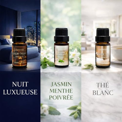 Hotel Collection Essential Oils for Diffusers for Home 6 x 10ml | Aromatherapy Gift, Premium Scented Oils for Diffusers - Jasmine Peppermint,White Tea,Citrus Happiness,My Way,Hotel Lobby - color: Light Gray