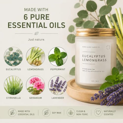 Eucalyptus Lemongrass Scented Candle with Citronella Essential Oil | Contains 6 Essential Oils | 50+ Hrs Long Lasting | Non-Toxic Soy Candle - color: Eucalyptus Lemongrass