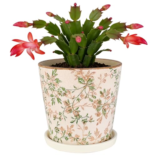 Ceramic Flower Pots for Indoor Plant with Drainage Hole & Saucer | 5.5 Inch Small Ice Crack Plant Pots, Decorative Vintage Planters For Succulent Herb Cactus Mint Basil, Garden Pot For Plant - color: Green Vine