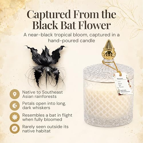 VIONAMI Black Bat Rare Flower Fragrance Luxury Scented Candle Gift | Decorative Soy Candles Birthday Gifts for Women, Elegant Glass Jar, 14.8oz, 80Hr Long Lasting Burn, Luxury Candles for Women