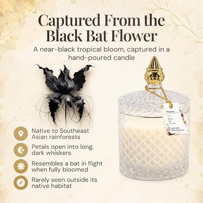 VIONAMI Black Bat Rare Flower Fragrance Luxury Scented Candle Gift | Decorative Soy Candles Birthday Gifts for Women, Elegant Glass Jar, 14.8oz, 80Hr Long Lasting Burn, Luxury Candles for Women