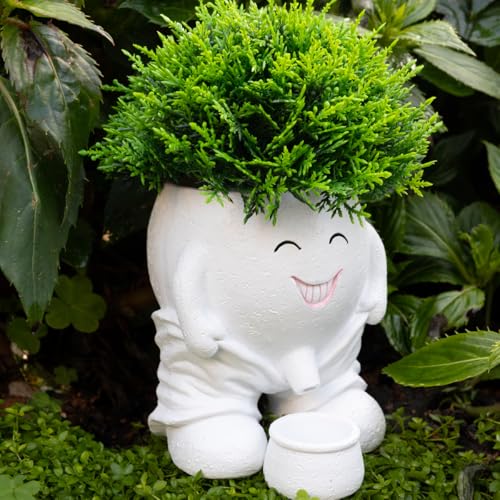 Funny Planters Smiley Face Planter Pot with Drainage Hole, Cute Resin Succulent Plant Pots, Unique Novelty Cute Cactus Face Pots for Office Desk Plant Pots Gift White - color: White-a