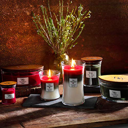 WOODWICK Trilogy Candle Elipsa Sun-Ripened Berries 76972E - color: Berries, style: ELLIPSE