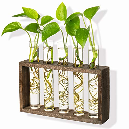 Kingbuy Wall Propagation Station with 5 Test Tube Vases - Vintage Wood Stand Wall Hanging Planter for Plants, Tabletop Terrarium Windowsill Decor Kitchen Herb Garden Accessory, Brown