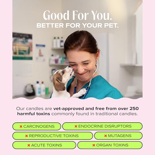Sundae Snuggles Pet-Friendly Scented Candle – Vanilla Gelato & Waffle Cone Fragrance - Coconut Soy Wax Candle with Wooden Wick, Approx. 50-Hour Burn Time, Made in USA, 8 oz - color: Sundae Snuggles