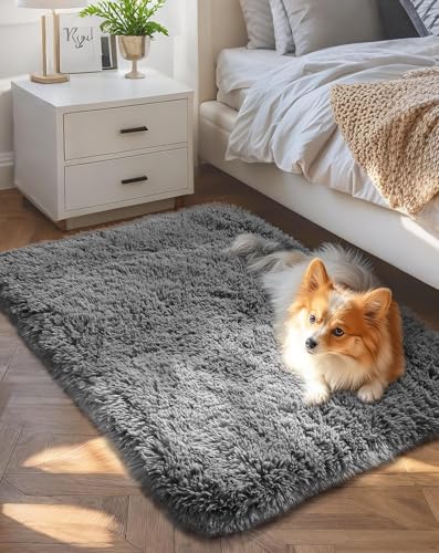 Ophanie 2x4 Small Rug Upgrade Non Slip Throw Bedside Area Rugs, Fluffy Soft Grey Mini Bedroom Carpet, Affordable Door Entryway Indoor Inside Front Entrance Dog Mat, Home Decor Aesthetic, Nursery - color: 1- Grey, size: 2' x 4' (Rectangular)