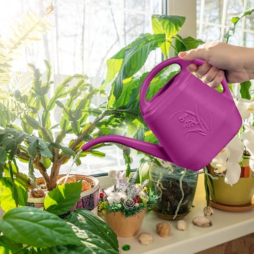ZXJ Plant Watering Can - for Indoor and Outdoor Home Garden Plants - with Long Spout - Rose Red - 1/2 Gallon - color: Rose Red