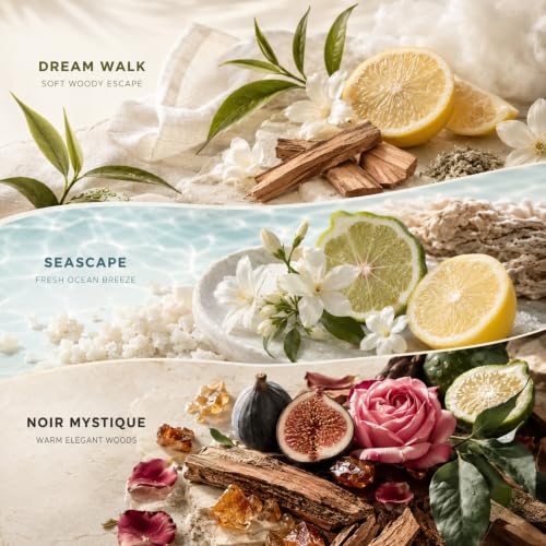 Fragrance Diffuser Oils 3X20 mL, Aromatherapy Set for Cold Diffusers | Scentia Luxury Hotel Series Blended Diffuser Oils, 3X20 mL, Long-Lasting Aroma For Home Relaxation