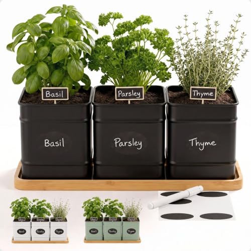 Herb Planter Indoor, 3-pc Herb Pots w/ Drainage Holes, Bamboo Tray & Labels | Iron Herb Pots, Varnished Bamboo Tray with Anti-Skid Base, Customizable Oval Sticker and Stick Labels & Chalkboard Marker Pen - color: Black