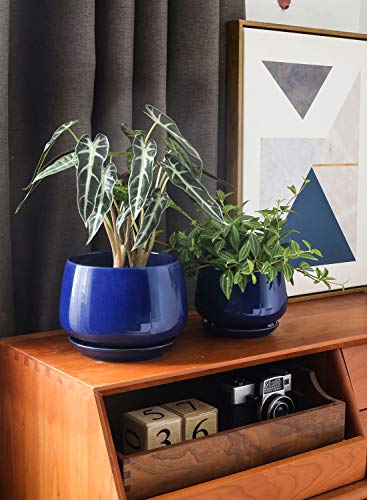 LE TAUCI Plant Pots, 4.1+5.1+6.5 inch, Set of 3, Ceramic Planters with Drainage Hole and Saucer, Indoor Flower Pot with Hole Mesh Pad, Gifts for Mom, Sapphire Blue - color: Sapphire Blue