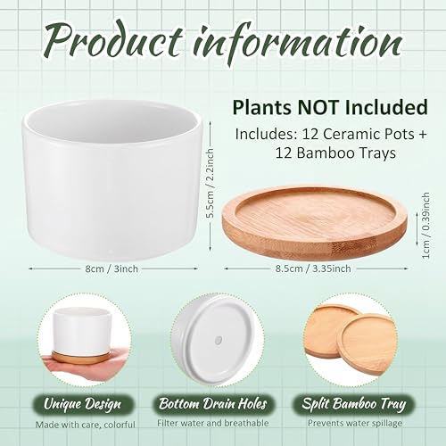 Cindeer 12 Sets Succulent Plant Pot Ceramic Succulent Pots Container Cactus Pots with Bamboo Tray Small Cylinder Flower Plant Pot with Bamboo Saucers for Plants Indoor Outdoor(White,3 x 2.17 Inch) - color: White