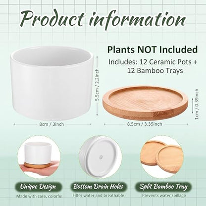 Cindeer 12 Sets Succulent Plant Pot Ceramic Succulent Pots Container Cactus Pots with Bamboo Tray Small Cylinder Flower Plant Pot with Bamboo Saucers for Plants Indoor Outdoor(White,3 x 2.17 Inch) - color: White