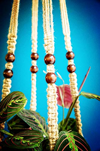 Macrame Plant Hangers Indoor 36'' Hanging Planter Basket Flower Pot Holder with Beads No Tassels.Brown 2 Packs 4 Pcs Hooks