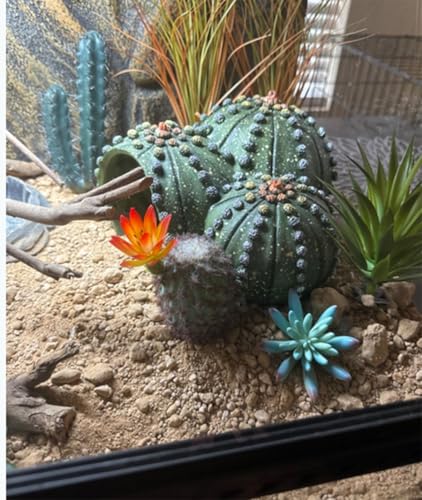 Set of 3 pcs Artificial Cactus Succulent Plants Faux Cacti Plant for Home Decor Flower Arrangement