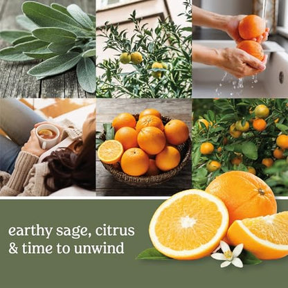 Yankee Candle Scented Wax Melts for Wax Warmers, Candle Wax Melts Refills, Long Lasting Home Fragrance, Sage & Citrus 6 Count (Pack of 3) - color: Sage & Citrus