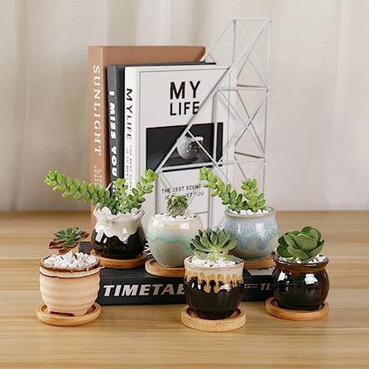 T4U Small Ceramic Succulent Pots with Drainage - Set of 12, Mini Pots for Plants, Home and Office Decor, Plant Lover Gifts for Women | Planters with Drainage, for live cactus plants, bonsai starter pots, indoor windowsill decor, office desk top accents -