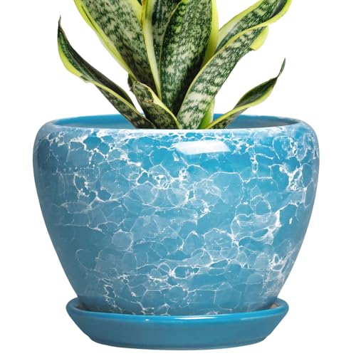 Ceramic Planters for Indoor Plants - 6 Inch Plant Pot with Drainage Hole and Saucer, Round Plant Pots, Modern Decorative Succulent Planter, Desk Decor, Gifts for Plant Lovers, Bubble Blue - color: Bubble Blue, size: 6 Inch