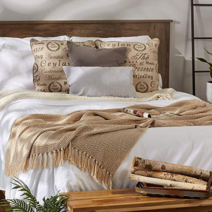 DII Chevron Throw Collection Handloomed Cotton, 50x60, Stone - color: Stone, size: 50x60"
