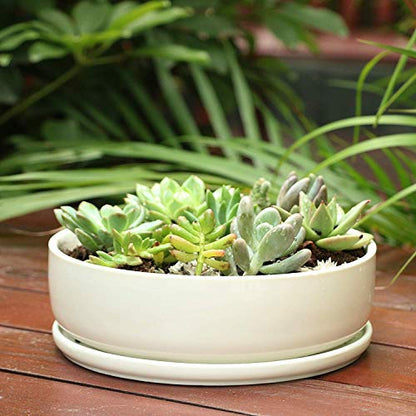 SQOWL 8 inch White Round Ceramic Succulent Planter Pot Modern Flower Cactus herb Big Planter with Removable Saucer Indoor or Outdoor - color: White
