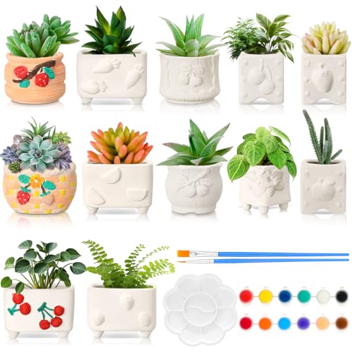 Hushee 12 Sets Ceramic Succulent Planters Paintable Succulent Plant Pots Small DIY Figurines Unpainted Pots with Drainage Hole Color Paints Paintbrushes Palettes - color: Fruit