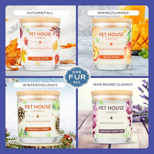 Pet House Candles, Natural Soy-Based, Clean Burning Pet Friendly Candles, 60 Hour Burn Time - Wild Blueberries, 9 oz, 2 Pack - color: Wild Blueberries, size: Pack of 2