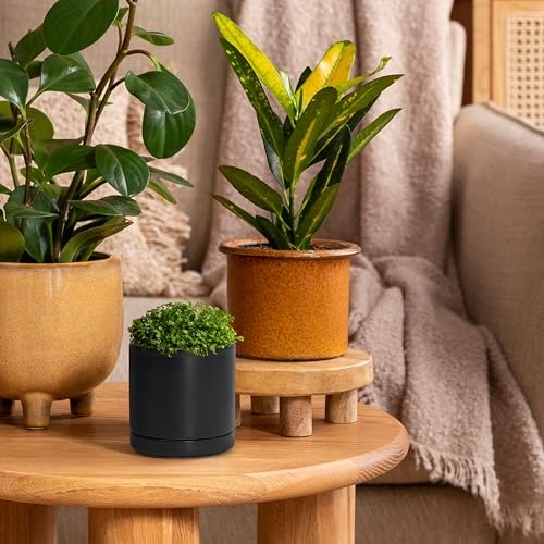 D'vine Dev 2-Pack Ceramic Pots with Saucers, Black, 3.5 in, 94-V-A-2 | Modern Cylinder Design, Glazed Ceramic, Drainage Hole & Saucer Included, High Temperature Fired, Elegant Home Accent - color: Black, size: 3.5 Inch