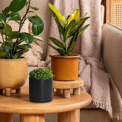 D'vine Dev 2-Pack Ceramic Pots with Saucers, Black, 3.5 in, 94-V-A-2 | Modern Cylinder Design, Glazed Ceramic, Drainage Hole & Saucer Included, High Temperature Fired, Elegant Home Accent - color: Black, size: 3.5 Inch