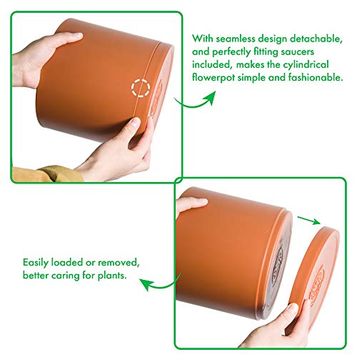D'vine Dev 3-Pack Plastic Pots & Saucers, 6/6.5/8 in,Terracotta, 74-V-C-3 | Multi-Size Options, Lightweight Durable, Matte Finish, Cylinder Shape, Drainage Holes, Sleek Design, Detachable Saucer - color: Terracotta, size: Medium