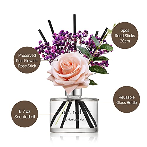 COCODOR Rose Flower Reed Diffuser/April Breeze/6.7oz(200ml)/1 Pack/Reed Diffuser, Reed Diffuser Set, Oil Diffuser & Reed Diffuser Sticks, Home Decor & Office Decor, Fragrance and Gifts - size: Rose/6.7Ounce/1Pack