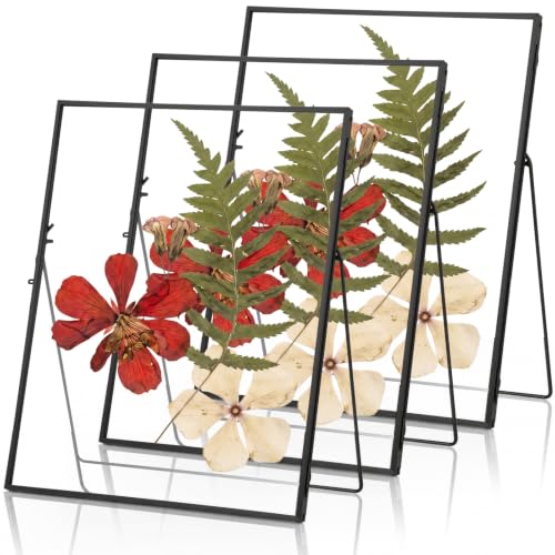 3 Pack Glass Pressed Flower Frame Handmade, 8 x 10 floating Picture Frames for Pressed Flowers, Brass Double Glass for Tabletop Display, Home Office Plant Specimen, Photos(Black) - color: Black, size: 8 x 10 Inches