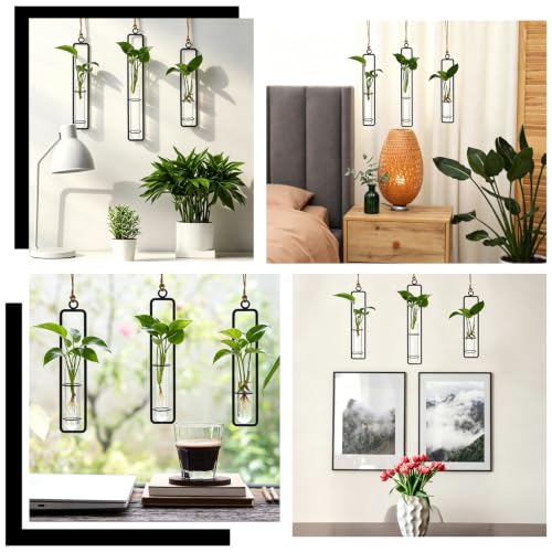 5 Sets Hanging Glass Propagation Station, 3 Styles Iron Frame Transparent Test Tube Plant Vases Wall Mounted Hydroponic Planters for Outdoor Indoor Balcony Home Decor