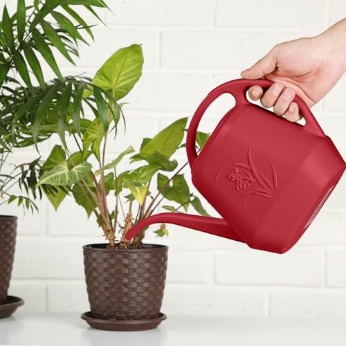 ZXJ Plant Watering Can - for Indoor and Outdoor Home Garden Plants - with Long Spout - Wine Red - 1/2 Gallon - color: Wine Red