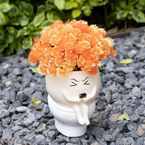 Smiley Face Planters for Indoor Plants, Cute Head Resin Rocking Chair Plant Pots, Funny Small Pots for Plants with Drainage Hole for Home Decor (Funny Toilet Pot) - color: Funny Toilet Pot