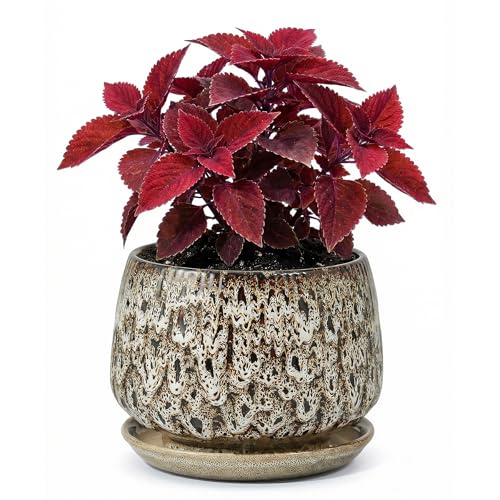 7.5 Inch Ceramic Planter with Saucer,Modern Garden Pots with Drainage Hole Mesh Net, for Indoor Outdoor Use(Speckle White) - color: Peacock White, size: 7.5 Inch