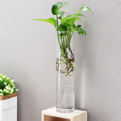 CALLARON Cylinder Glass Wall Vase Set for Hydroponic Plant Propagation, Wall-Mounted Flower Tube Vase Holder, 2pcs Hanging Indoor Terrariums for Home and Office Décor