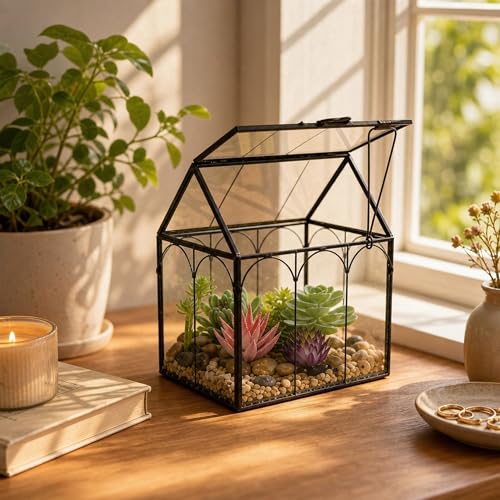 FerrisIsland Glass Plant Wardrobe Indoor Small Succulent Aquarium | FerrisIsland glass plant small succulent aquarium with desktop decoration DIY door (6 in long x 4.3 in wide x 6.3 in high) - size: 6" L x 4.3" W x 6.3" H