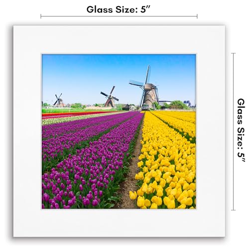 Americanflat 5x5 Picture Frame - Engineered Wood - White | Shatter-resistant glass, wall or tabletop display with included easel, sawtooth hangers included - color: White, size: 5x5