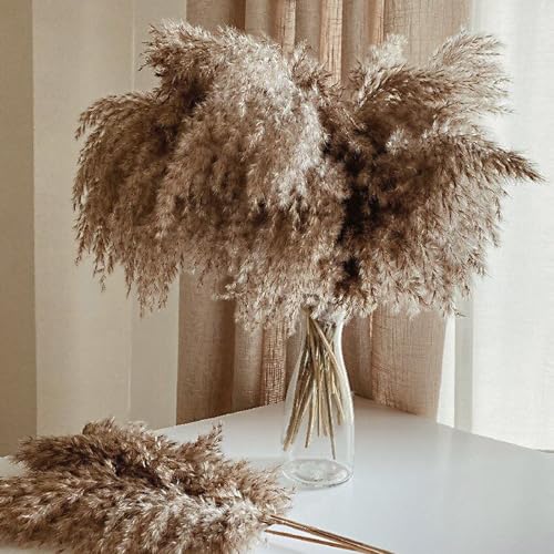 ROOLLYA 17 Inch 20 Stems Natural Pampas Grass Decor - Tall Fluffy Pompas Grass for Floor Vase - Boho Decor Home Wedding Event Decor, 2404-c15-30brown-45cm - size: 30brown - 17 Inch