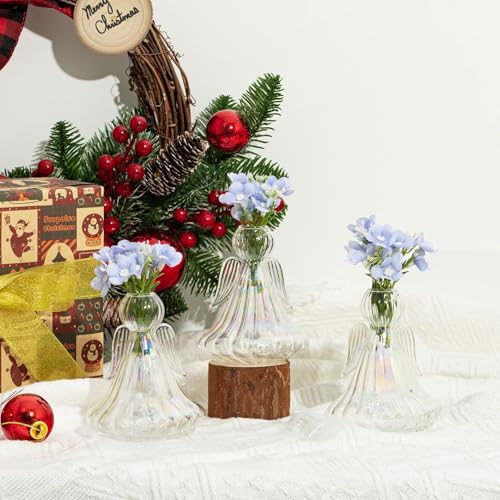 XXXFLOWER Plant Propagation Station Angel Glass Terrarium | Plant Starter Vases for Plant Cuttings Set of 3 Flower Vase for Hydroponics Plants Gifts for Plant Lovers Office Desk Decor - size: 3 Angel