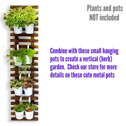 ShopLaLa Wooden Wall Planter (120cm) Wood Hanging Planters for Indoor Plant | Vertical Garden, Plant Wall Mount Planter, Air Plant Succulent Holder for Flower Pot Display Hanger Frame Outdoor Plants - size: 120cm (47.2")