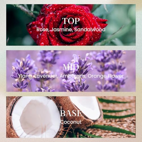 M&SENSE 6.3 oz Large Reed Diffuser Set | Oud Wood Scent Oil Diffuser with Sticks | Hotel Collection Non-Toxic Essential Oil |for Bedroom Bathroom Living Room - color: Oud Wood, size: 180ml