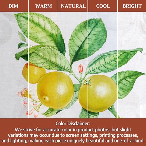 Maison d' Hermine Kitchen Towels Set of 3 Reusable 100% Cotton 27.50" x 20" | Cloth Tea Dish Towels Absorbent with Hanging Loop for Kitchen Dining Party Wedding Hotel Home Spring Summer - Limoncello - color: 003 - Limoncello